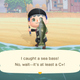 Image for article titled Even The Guy Who Wrote That Sea Bass Joke In Animal Crossing Is Tired Of It